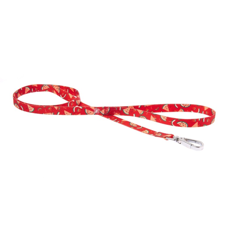 Guinzaglio motif - motif leash; Watermelon