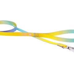 Guinzaglio motif - motif leash; Rainbow