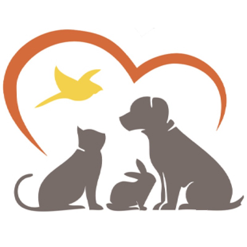 Pantalone Panther Pro 4.0